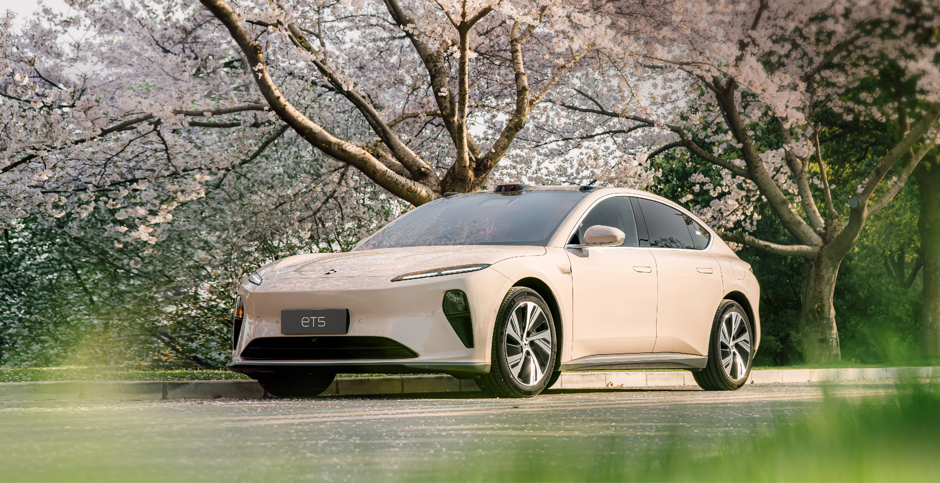 Z6·尊龙凯时3月交付新车11,866台